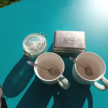 Le Miraillet, Отель типа 